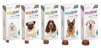 We did not find results for: Bravecto Flea Tick Chewable For Dogs 1 Chew 3 Months Protection Penny Paws