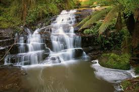 Nature Wallpapers