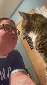 Profil von Windelkatzen