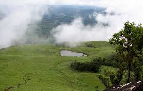 Get Away to Wayanad