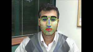 Monocular Computer Vision for Driver Assistance