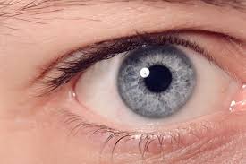 Image result for Sclera