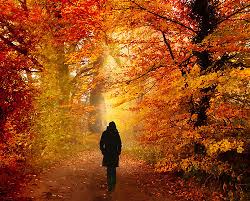 Kết quả hình ảnh cho thu rơi