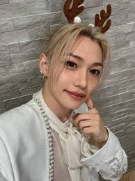 Who is your favorite Stray Kids member?