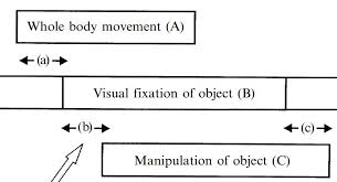 Image result for Visual Fixation