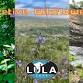 Interpretive Wildflower Hike