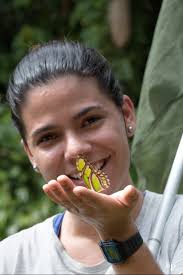 Pequenos protetores da floresta