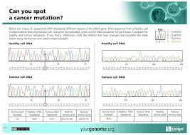 While we talk concerning gene mutation worksheet answers, we already collected particular similar images to complete your references. Kras Cancer Mutation Activity Stem