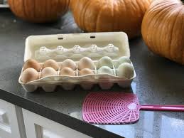 Expert recommended top 3 pet grooming in san bernardino, california. All Pet Feed Tack 34 Photos 77 Reviews Pet Stores 25598 Base Line St San Bernardino Ca United States Phone Number Yelp