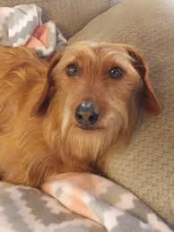 Excellent photographs🥰🥰