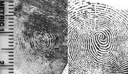 Basic Latent Print Comparison Course - 40 hours