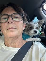 Does anyone else's little cutie pies do this while you are driving 😬