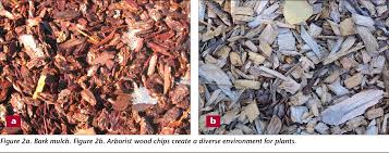 There are many materials that can be used as mulch. Pdf Using Arborist Wood Chips As Landscape Mulch Semantic Scholar