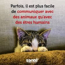 Epingle Sur Citations