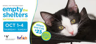 Please set up an adoption appointment by emailing your adoption application to info@pawsatlanta.org. Furkids Animal Rescue And Shelters Fall Events Aim To Help Keep Pets Healthy Forsyth News
