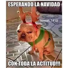 con toda la actitud navideña | Meme de navidad, Stuffed animals ...
