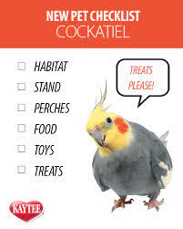 New Pet Cockatiel Checklist