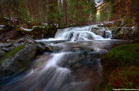 De munte, de ses si colinare. Imagini Ape CurgÄƒtoare Si Ape StÄƒtÄƒtoare Pagina 7