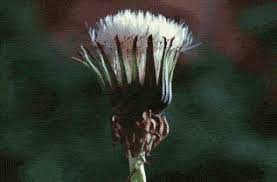 Pin On Force Of Nature
