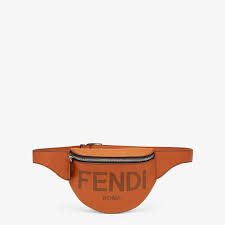 Belt Bag Brown Leather Belt Bag Fendi