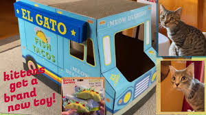 These fish taco cat toys. We Bought A Taco Truck At Target For Our Kittens Cat Vlog 2 Youtube