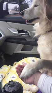 Images?q=tbn:ANd9GcRnceixEMgKTuSCIN6 GnrQSSgCauX7ikt8eE46Pq0POla9tWQS