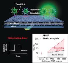 Ultrasensitive Dna Quantification By Light Scattering Light Scattering Dna Dna Sequence