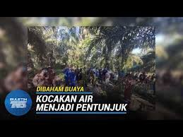 Terkini dari dalam negara, perkembangan, dan ekonomi tepat 8 malam, setiap hari. Mandi Sungai Lelaki Hilang Dikhuatiri Dibaham Buaya Youtube Malaysia