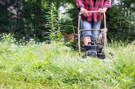 Empty and spread the compost pile to protect tender perennial plants and add a layer of nutrient and weed prevention over the beds. How To Clear A Garden Full Of Weeds Complete Step By Step Guide