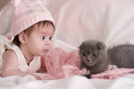 Hallo undzwar habe ich einen kater der 1 jahr alt ist und nicht kastriert ist. Babys Und Katzen Passt Diese Kombination Zusammen Welovefamily At