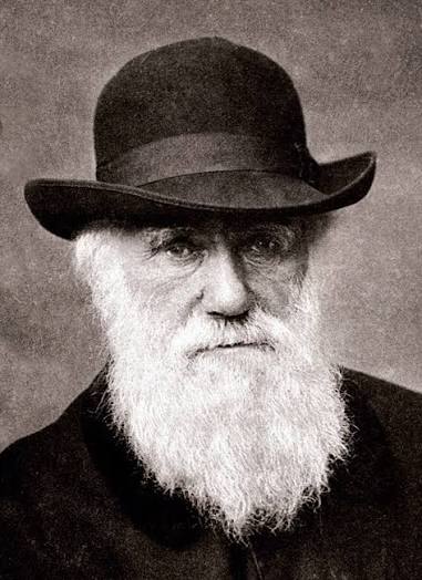Fichier:Charles Darwin 1880.jpg — Wikipedia