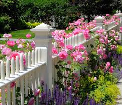 Check spelling or type a new query. Home Pat S Nursery