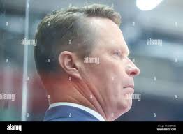 Grizzlys wolfsburg hi-res stock photography and images