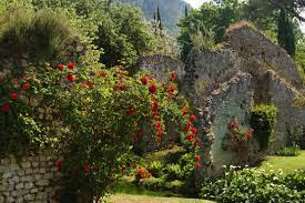 Black says that using the same plant along both sides of a long path is a technique to create structure that, in a traditional english garden, might be achieved with boxwood (buxus sempervirens). How Some Of The Finest English Rose Gardens Are In The Hills Of Lazio And Umbria Country Life