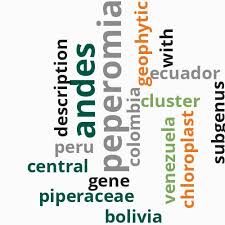 Image result for Chlorophytum burundiense