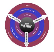 Risk Consulting Operations Management Risk Management Risk