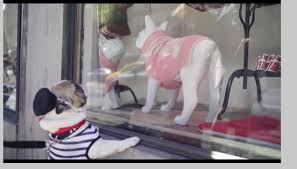 Pin On Dog Mannequins