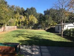You will still need to water regularly but there is. It S Too Late To Fertilize The Lawn But Be Ready For Spring With These Suggestions Ask An Expert Oregonlive Com