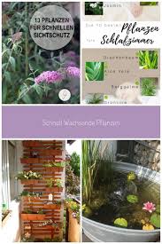 Idee Zur Gartengestaltung Pflanzen Die Schnell Wachsen Und Sichtschutz Im Garten Bieten Gartenidee Freudengarten Pflanzen Blumen Balkon Schnell Wachsende In 2020 Plants Hair Styles Garden