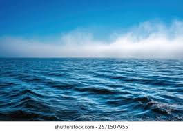 Image result for Ocean Mist 1972 Hussmann