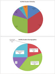 color online program demographics for academic year 2009