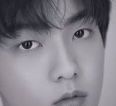 We did not find results for: Soobin Txt Height Age Girlfriend Biography Family Affairs More