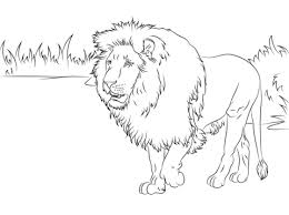 lion coloring pages free printable coloring pages for kids