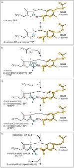 A Green Way For Pyruvic Acid Synthesis From Biomass-Derived L-Malic Acid On  Tetrahedral Versus Octahedral Cobalt Sites/Hematite | Biomass Conversion  And Biorefinery