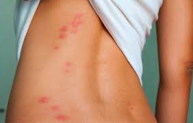 epingle sur vie pratique