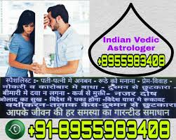 Indian Vedik Astrologer In 2020 Astrology Vedic Periodic Table