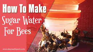 How To Make Sugar Water To Feed Honey Bees
