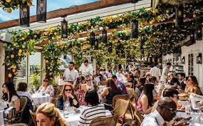 They are wispier and taller than the succulents. Alto By San Carlo London Marylebone Menu Prices Restaurant Reviews Reservations Tripadvisor
