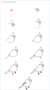 Check spelling or type a new query. How To Draw A Cardinal Bird Step By Step 11 Easy Phase Video