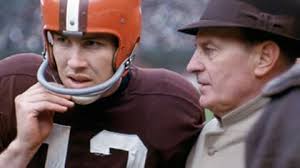 How Bengaldom got Bergeyized